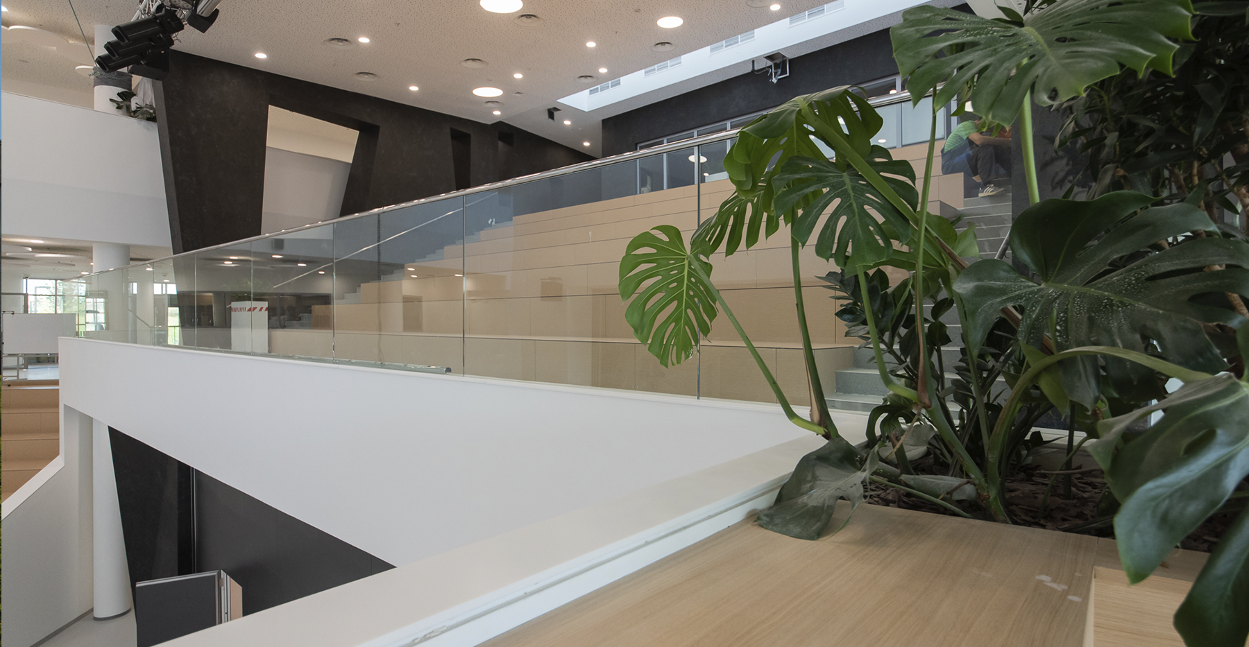 Фото проекта: Школа-кампус «Летово». Изображение № 11