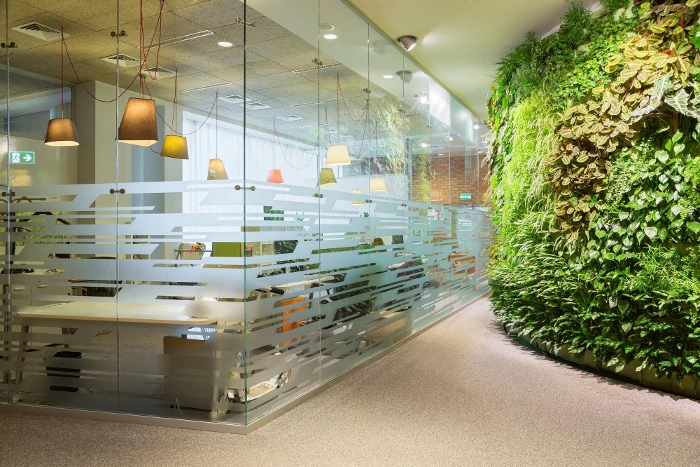 Правила идеального офисного пространства